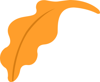 攻击网站服务器