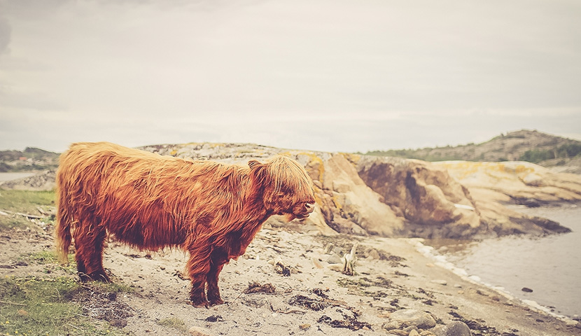 免费ddos在线攻击测试网站
