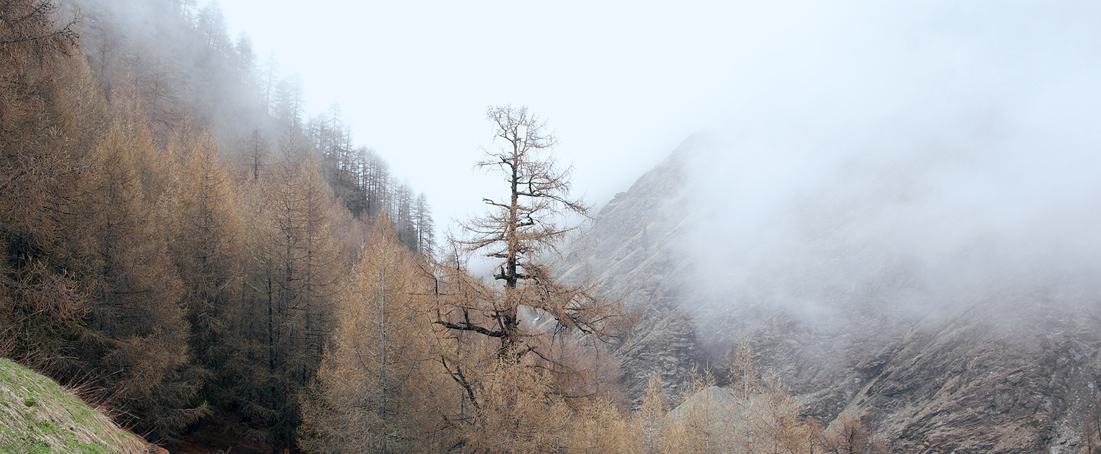自动发货渠道的ddos页端